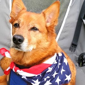 Meet your Posher, Dina